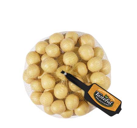Honey Gold 1-Bite