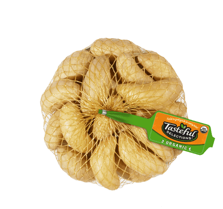 Gold Fingerling
