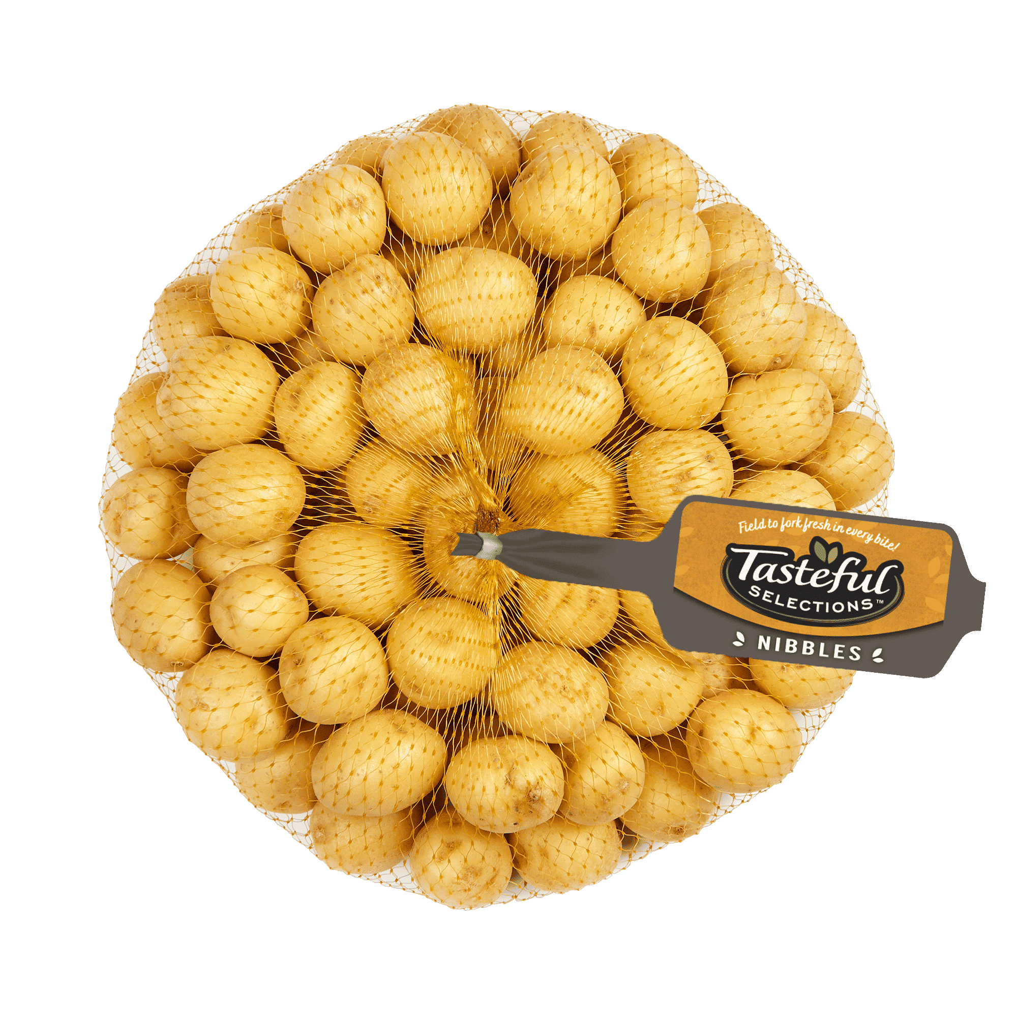 Tasteful Selections Honey Gold Nibbles Mesh