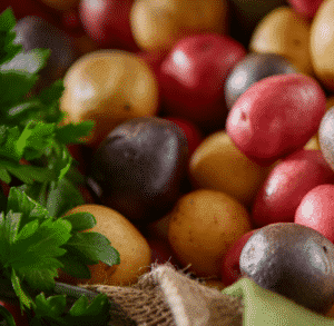Potato Varieties