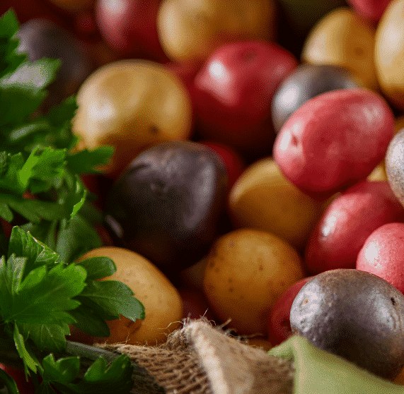 Variety of small potatoes