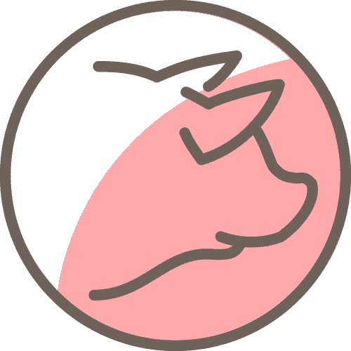 Pork graphic