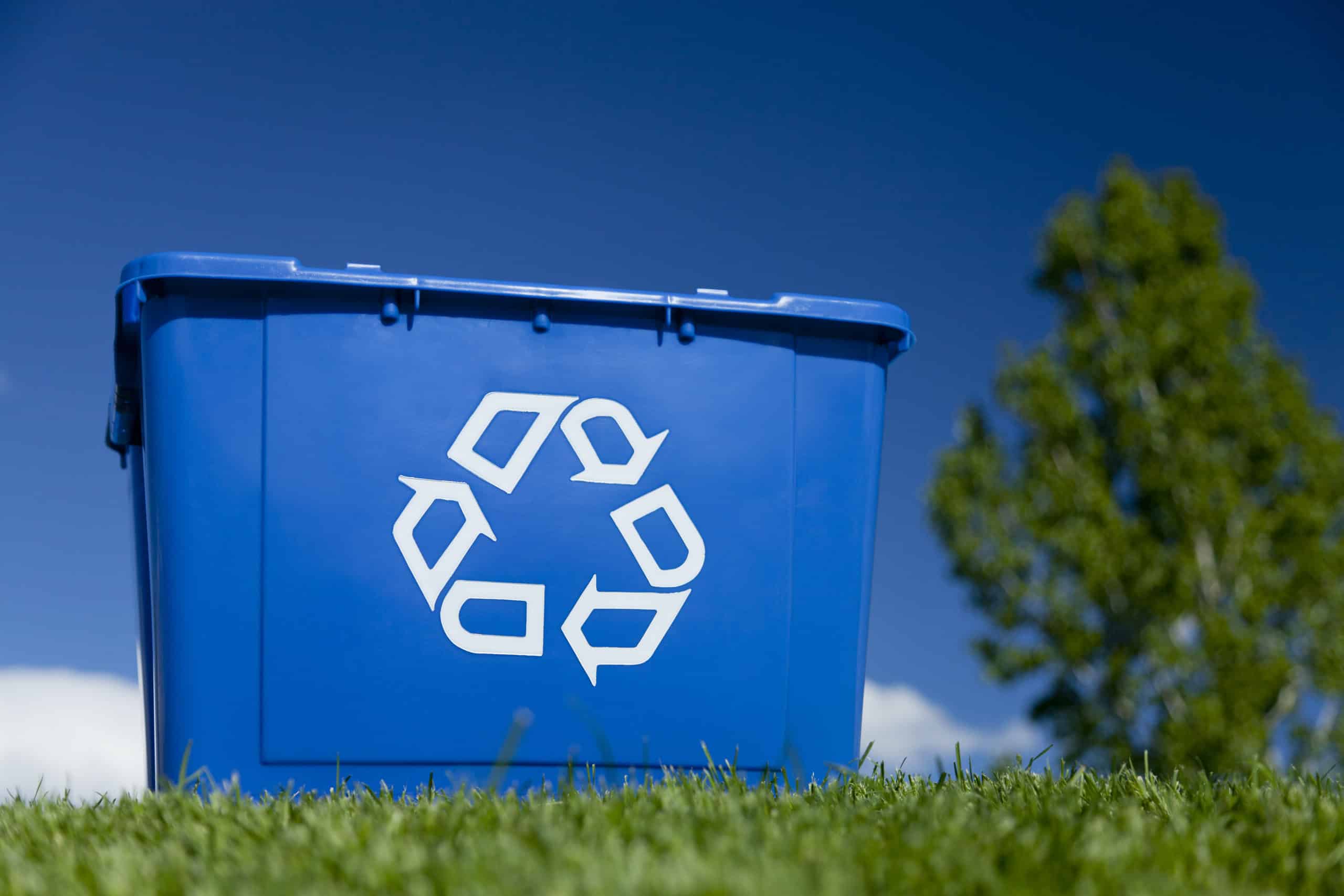 Recycleing bin on grass with sky and tree in the background.