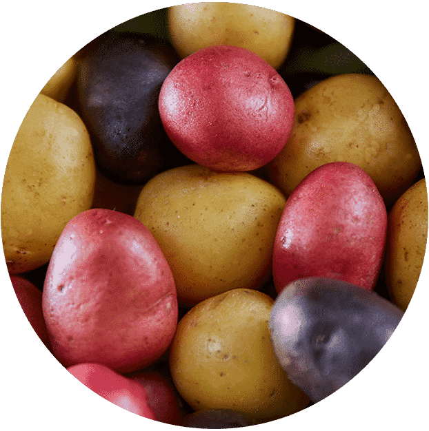 Raw Sunrise Medley Potatoes