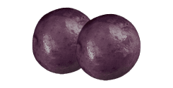 Purple Passion Baby Potatoes