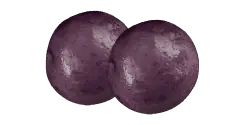 Purple Passion™