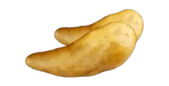 Gold Fingerling