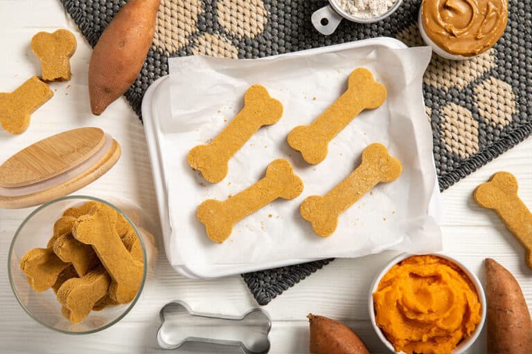 Three Ingredient Dog Treats