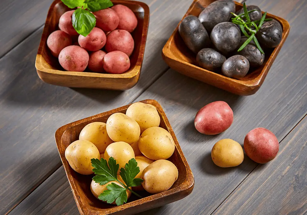 The right potato