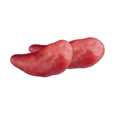 red fingerling