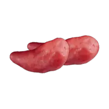 red fingerling