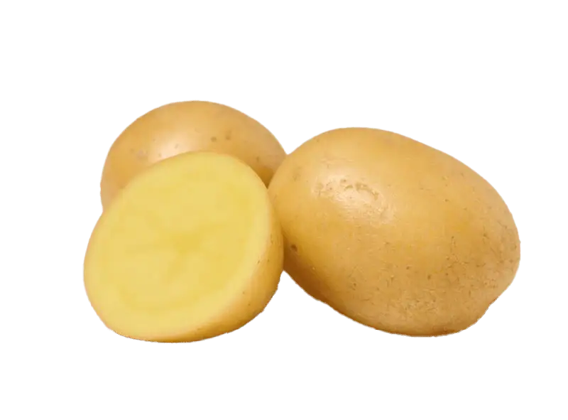 Whole and halved yellow potatoes on white background