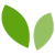 home-leaves home-leaves